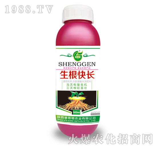 �������L(zh��ng)-��˼�D�r(n��ng)�I(y��)