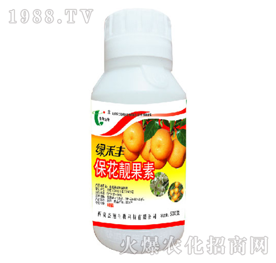 �����n����-�G���S-��������