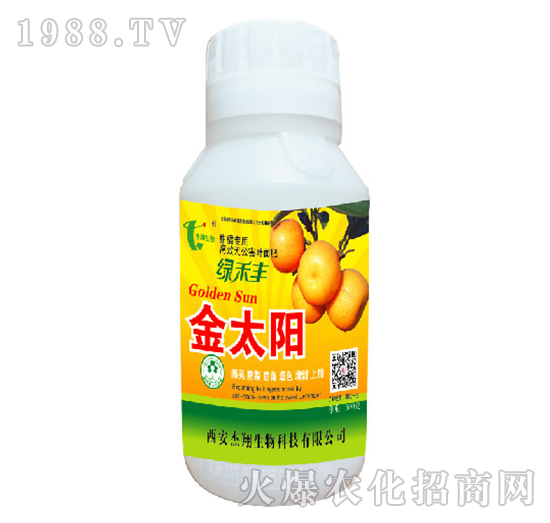 ��̫�-�G���S-��������