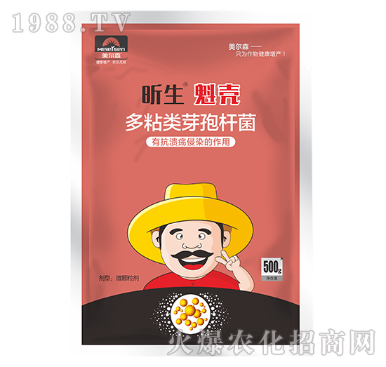 多粘類芽孢桿菌-昕生魁殼-美爾森