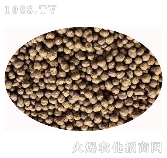 �����{(di��o)�턩-�Z�M�}