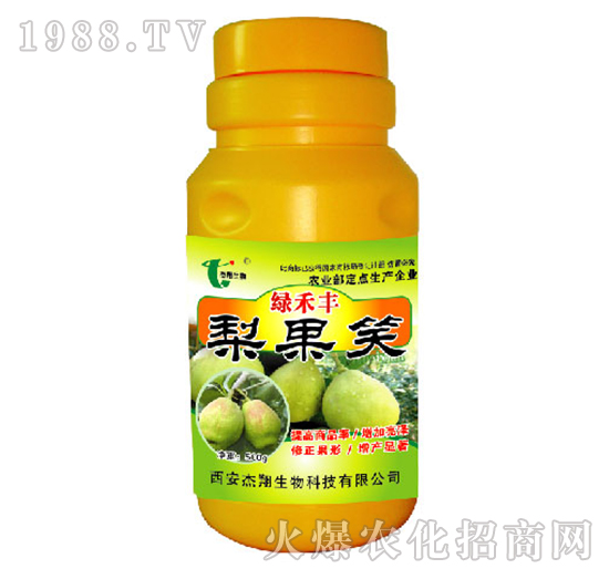 ���Ц-�G���S-��������