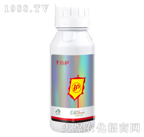 22%���ѡ��������x(ch��ng)-ǧ���o(h��)-�����r(n��ng)