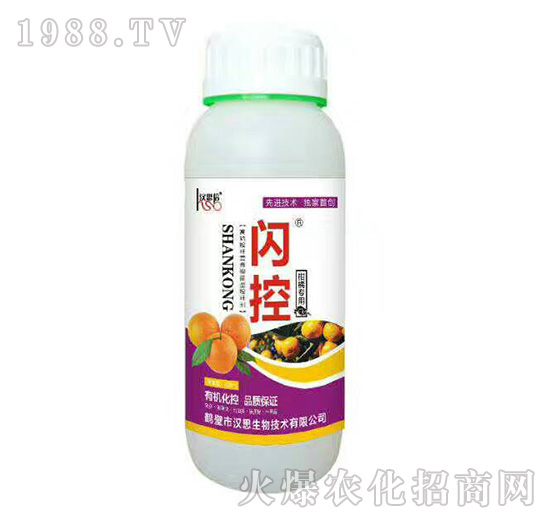 ���ٌ���-�W��-�h˼����