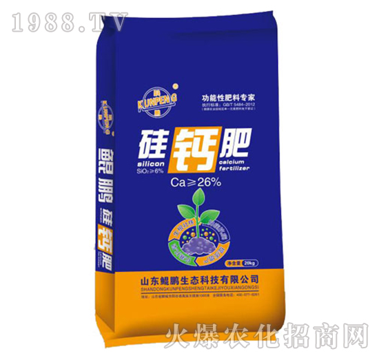 ���}�ʣ�20g��-�H�i���B(t��i)