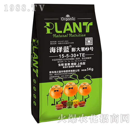 膨大果2號-海澤藍-海之藍