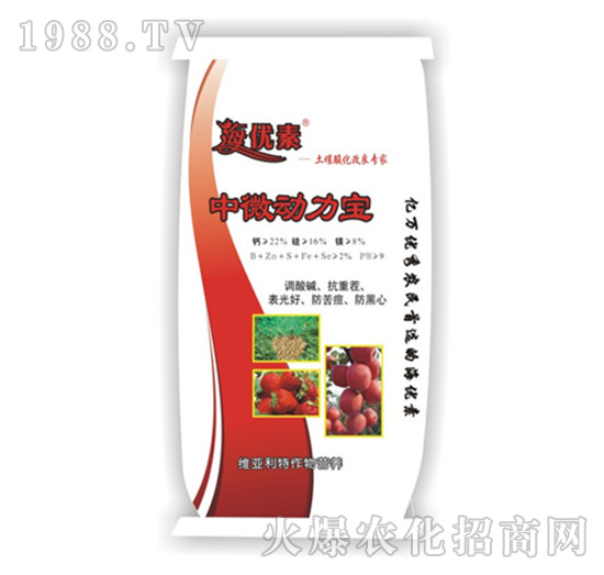 中微動力寶-維亞利特