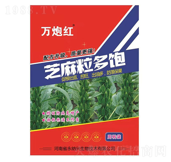 芝麻粒多飽-萬(wàn)炮紅-永納興