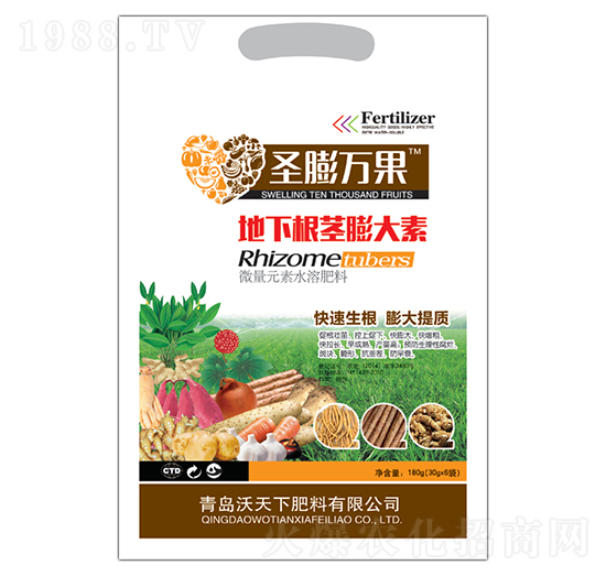 ���¸��o�����-ʥ���f��-������