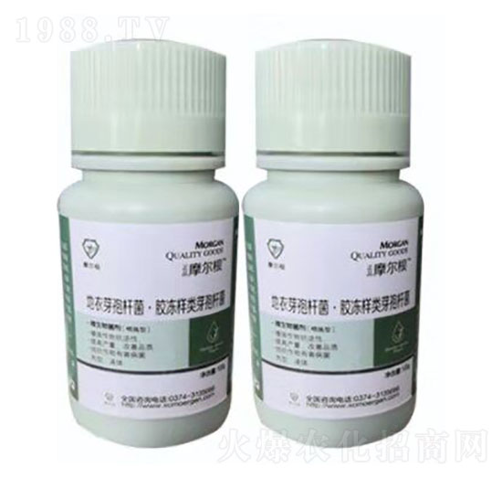 微生物菌劑功能型-摩爾根