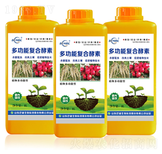 植物多功能型多功能復合酵素-巴迪生物