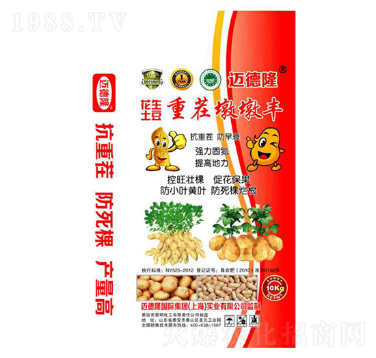 花生土豆重茬墩墩豐-中京豐沃