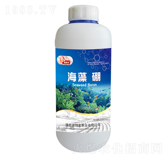 ������-�r�