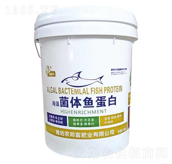 ������w�~����-�r�