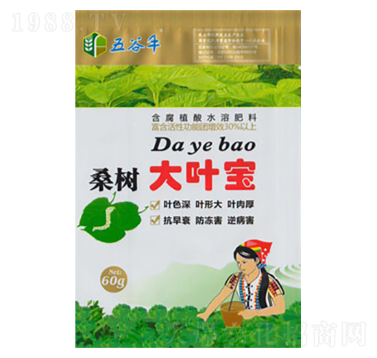 桑樹(shù)大葉寶-豐收源