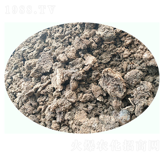 干豬糞-康東肥業(yè)