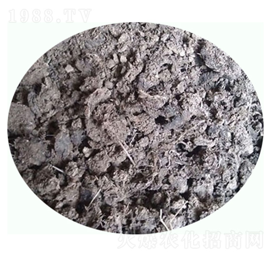 天然晾干雞糞-康東肥業(yè)