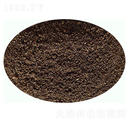 發(fā)酵羊糞有機(jī)肥-康東肥業(yè)