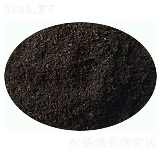 發(fā)酵純羊糞-康東肥業(yè)