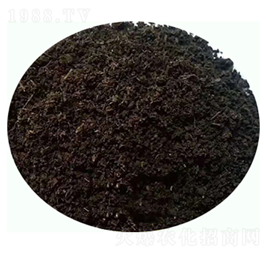 發(fā)酵純羊糞有機肥料-康東肥業(yè)