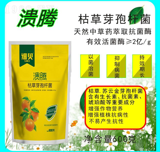 枯草芽孢桿菌-潰騰-豆本行