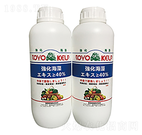 強化海藻-旭日華櫻