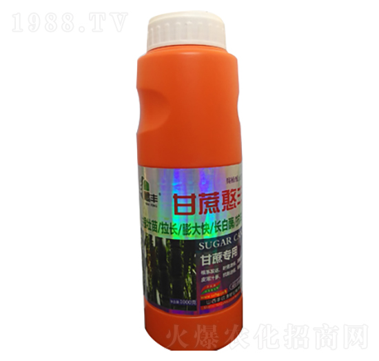 甘蔗專用甘蔗憨豐-豐收源