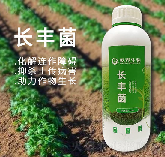 長豐菌-乾界生物