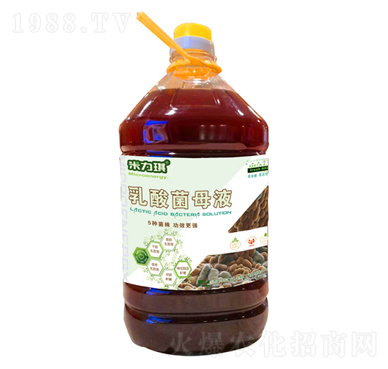 乳酸菌母液-米力琪-阿力達生物