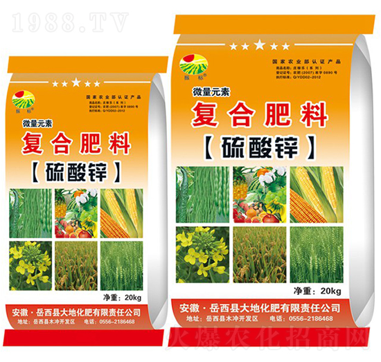 �ͺ������\-���-��ػ���