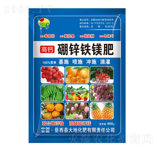 800g���\�F�V��-���(bi��o)-��ػ���