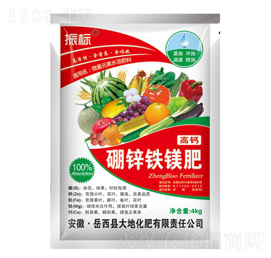 4kg���\�F�V��-���-��ػ���