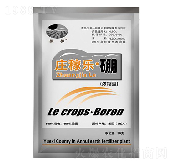 20g�f�ژ�����-���-��ػ���