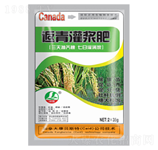 水稻返青灌漿肥-綠露生物