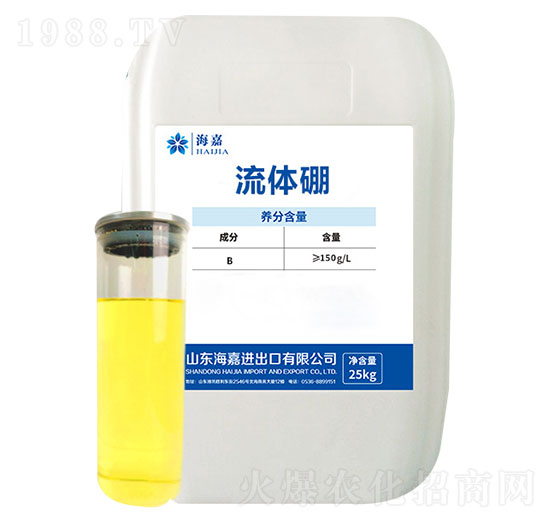 流體硼-海嘉
