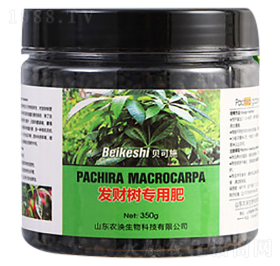 發(fā)財樹專用肥料-貝可施-農泱生物