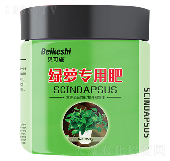 綠蘿專用肥-農(nóng)泱生物