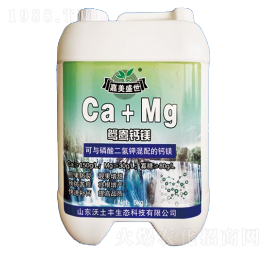 �x���}�V-�����S