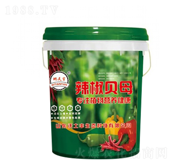 ����ؐĸ-�����S