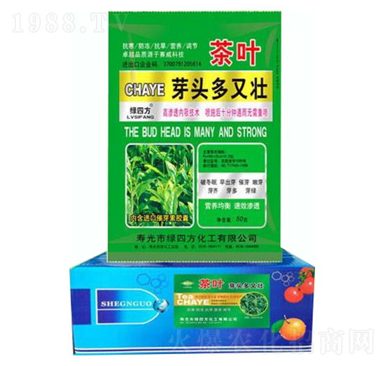 茶葉芽頭多又壯-綠四方