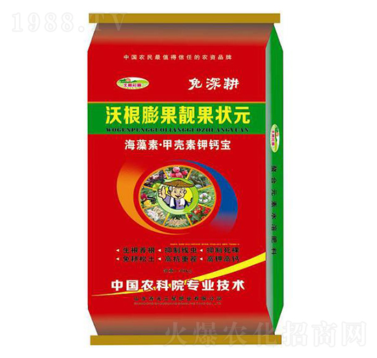 沃根膨果靚果狀元-三星肥業(yè)