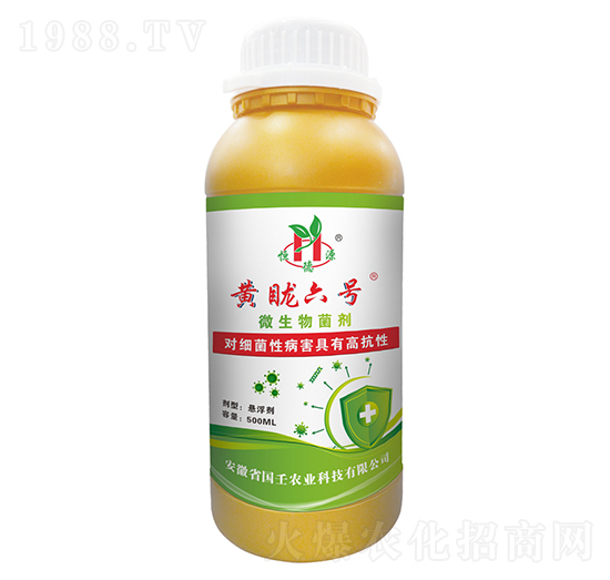 微生物菌劑-黃眬六號-國壬生物