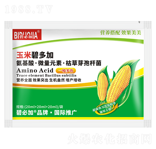 玉米碧多加-鑫禾生物