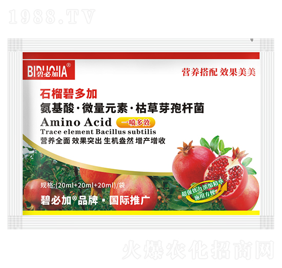 石榴碧多加-鑫禾生物