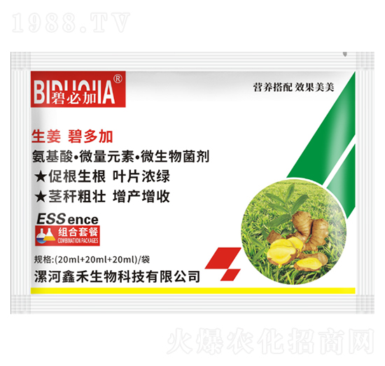 生姜碧多加-鑫禾生物