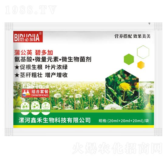 蒲公英碧多加-鑫禾生物