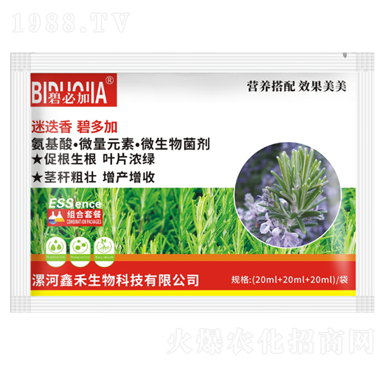 迷迭香碧多加-鑫禾生物