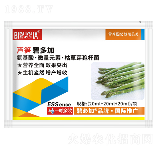 蘆筍碧多加-鑫禾生物