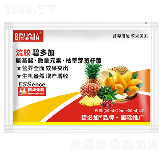 流膠碧多加-鑫禾生物