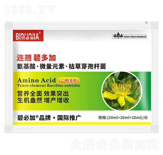 連翹碧多加-鑫禾生物